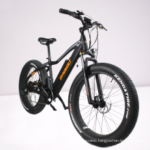 36v 250w electric bike long cycling range cruiser fat ebike